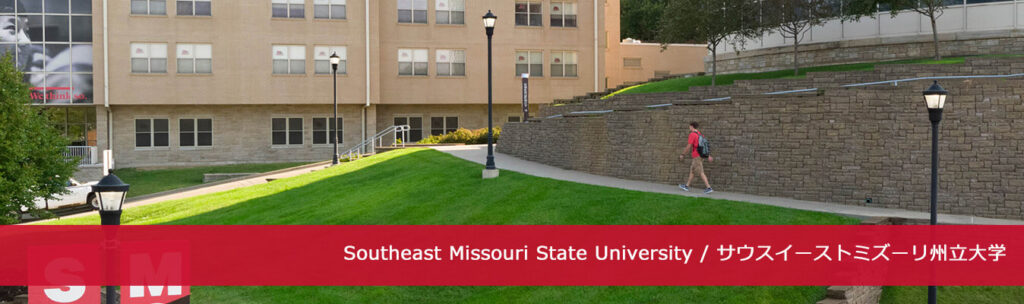 特別価格ノースウェストミズーリ州立大学ベアキャッツ メッシュステートメントウォッチ ローズバンド並行輸入 新着情報 - WMU日本連絡事務局