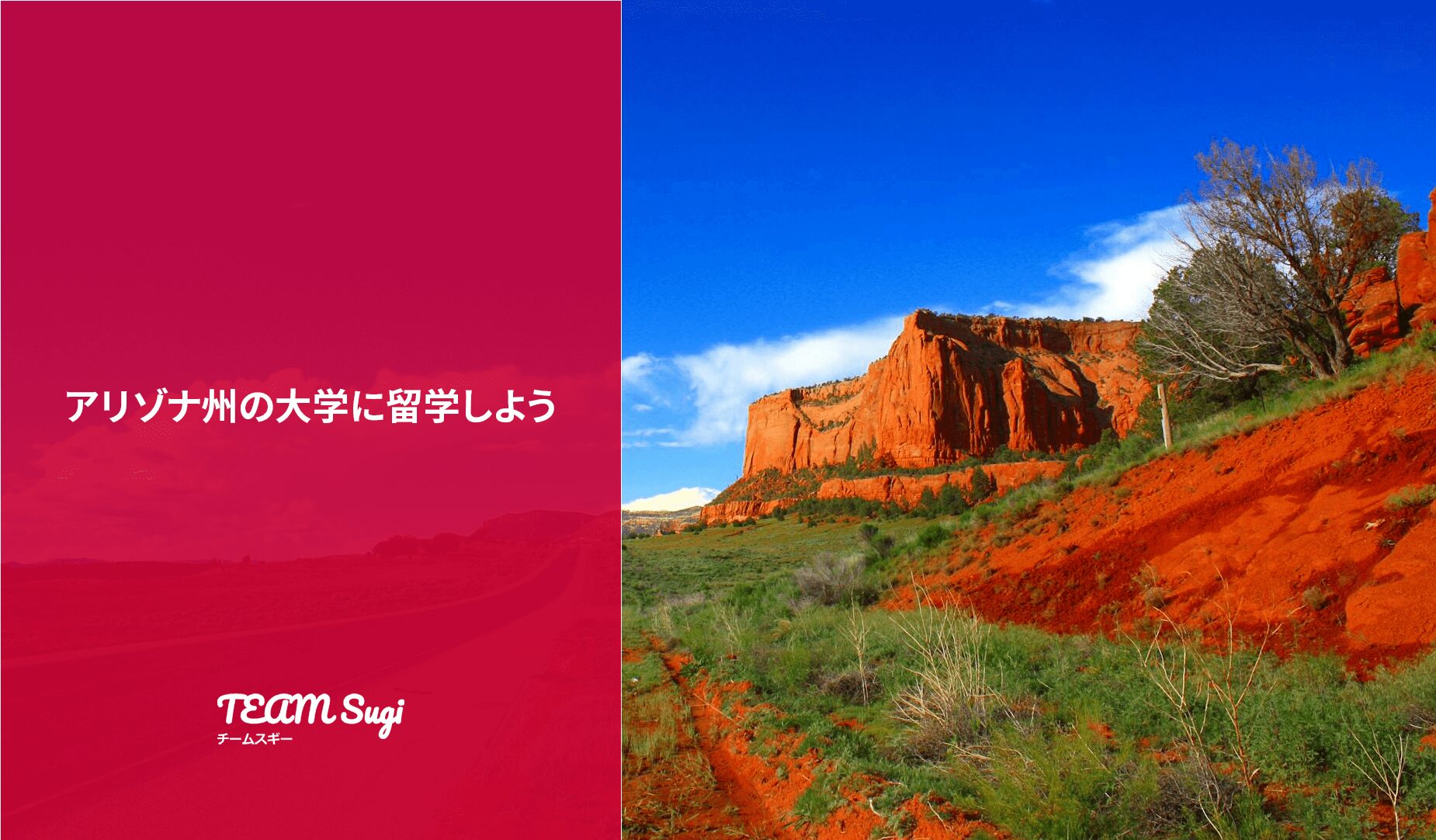 アリゾナ州の大学に留学しよう！ - アメリカ大学留学