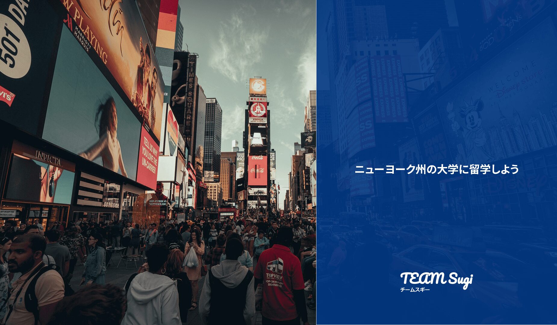 ニューヨーク州の大学に留学しよう - アメリカ大学留学