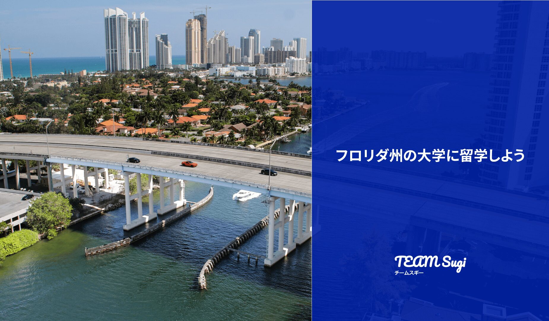 フロリダ州の大学に留学しよう - アメリカ大学留学