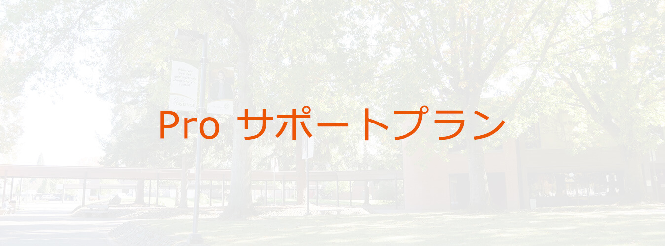 Proサポートプラン