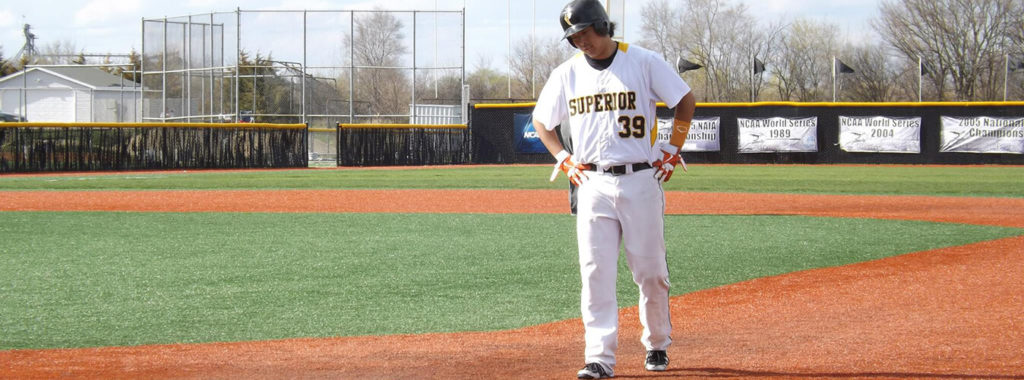 アメリカ大学 野球ボール Div.3 Conference 長く Baseball 