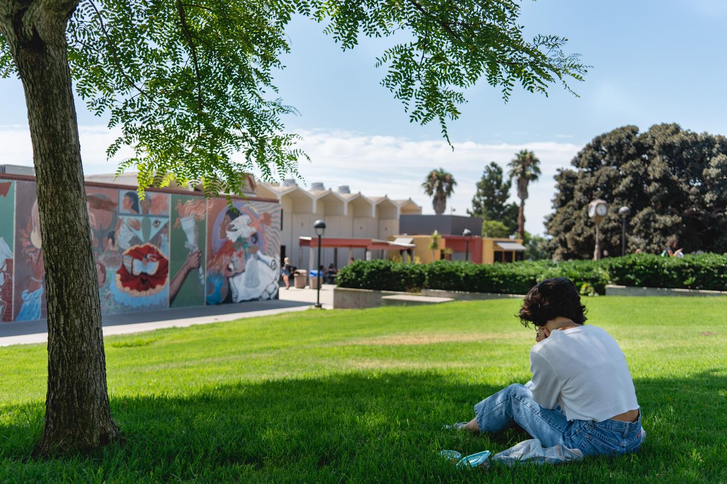 コミュニティカレッジ留学の情報を詳しく知るイメージ
